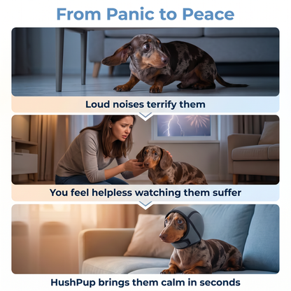 Dog Anxiety Ear Cover